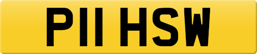 P11HSW