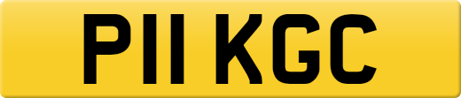 P11KGC