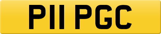 P11PGC