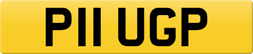P11UGP