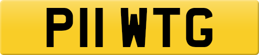 P11WTG