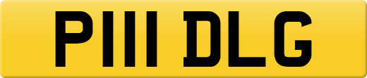 P111DLG