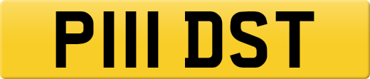 P111DST