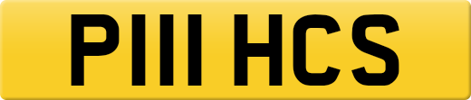 P111HCS