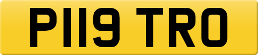 P119TRO