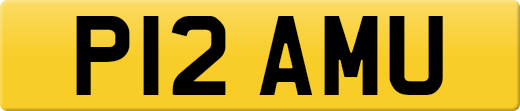 P12AMU