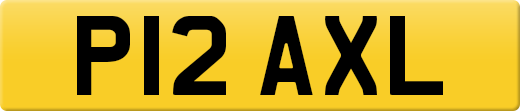 P12AXL