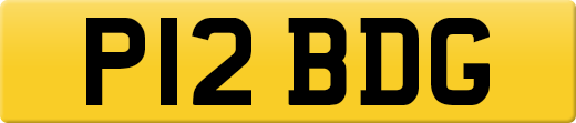 P12BDG