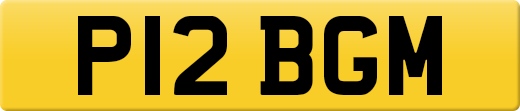 P12BGM