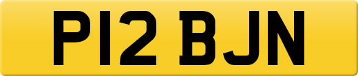 P12BJN
