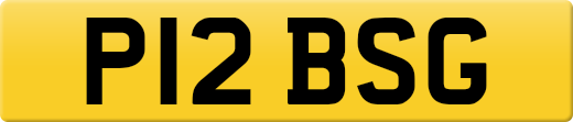 P12BSG