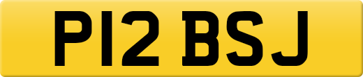 P12BSJ