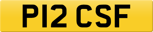 P12CSF