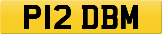 P12DBM