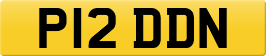 P12DDN