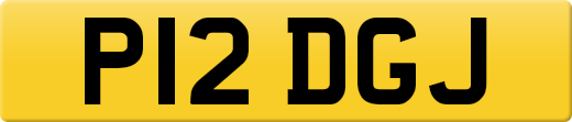P12DGJ