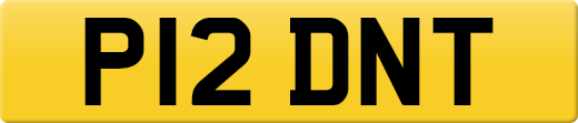 P12DNT