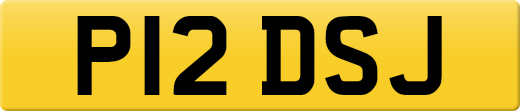 P12DSJ
