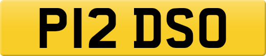 P12DSO