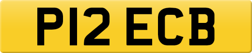 P12ECB
