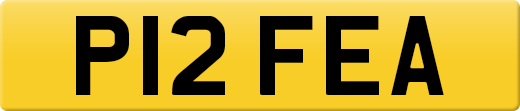 P12FEA