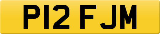 P12FJM