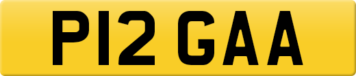 P12GAA