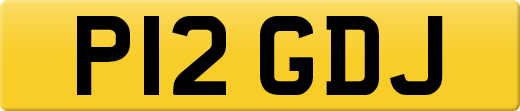 P12GDJ
