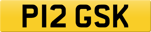 P12GSK