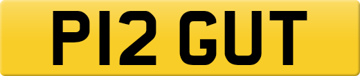P12GUT