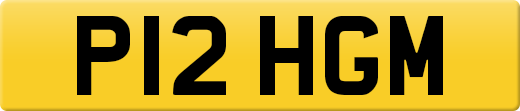 P12HGM
