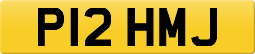 P12HMJ