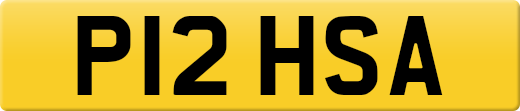 P12HSA