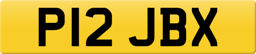 P12JBX