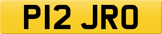 P12JRO