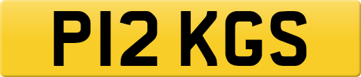P12KGS
