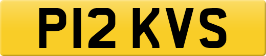 P12KVS