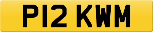 P12KWM