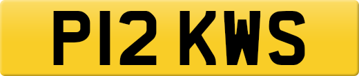 P12KWS