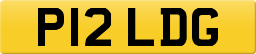 P12LDG