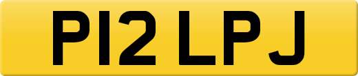 P12LPJ