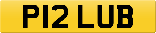 P12LUB