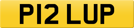 P12LUP