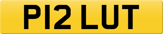 P12LUT