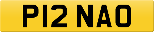 P12NAO