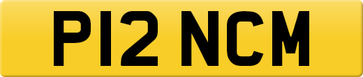 P12NCM