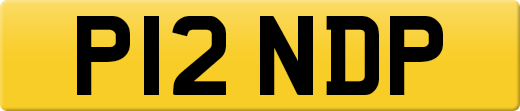 P12NDP