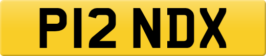 P12NDX