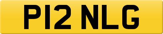 P12NLG