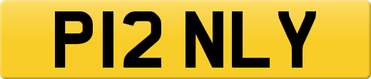 P12NLY